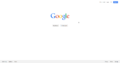 Google web search.png