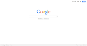 Google web search.png