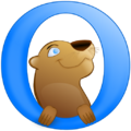 Otter-browser-icon.png