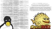 Openbsd-license-meme.png